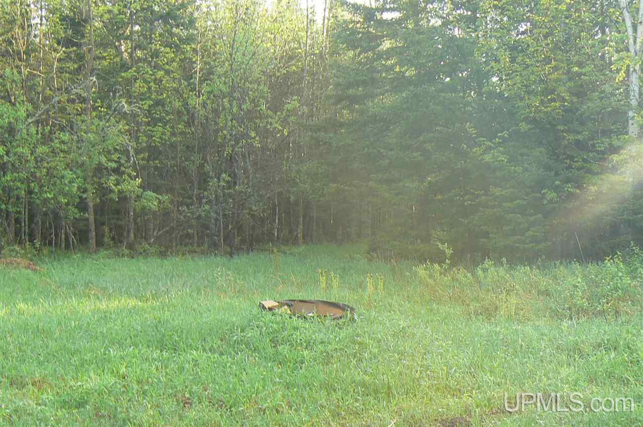 Tbd East Cold Springs Road Chatham, MI 49816 - Photo 9 of 21