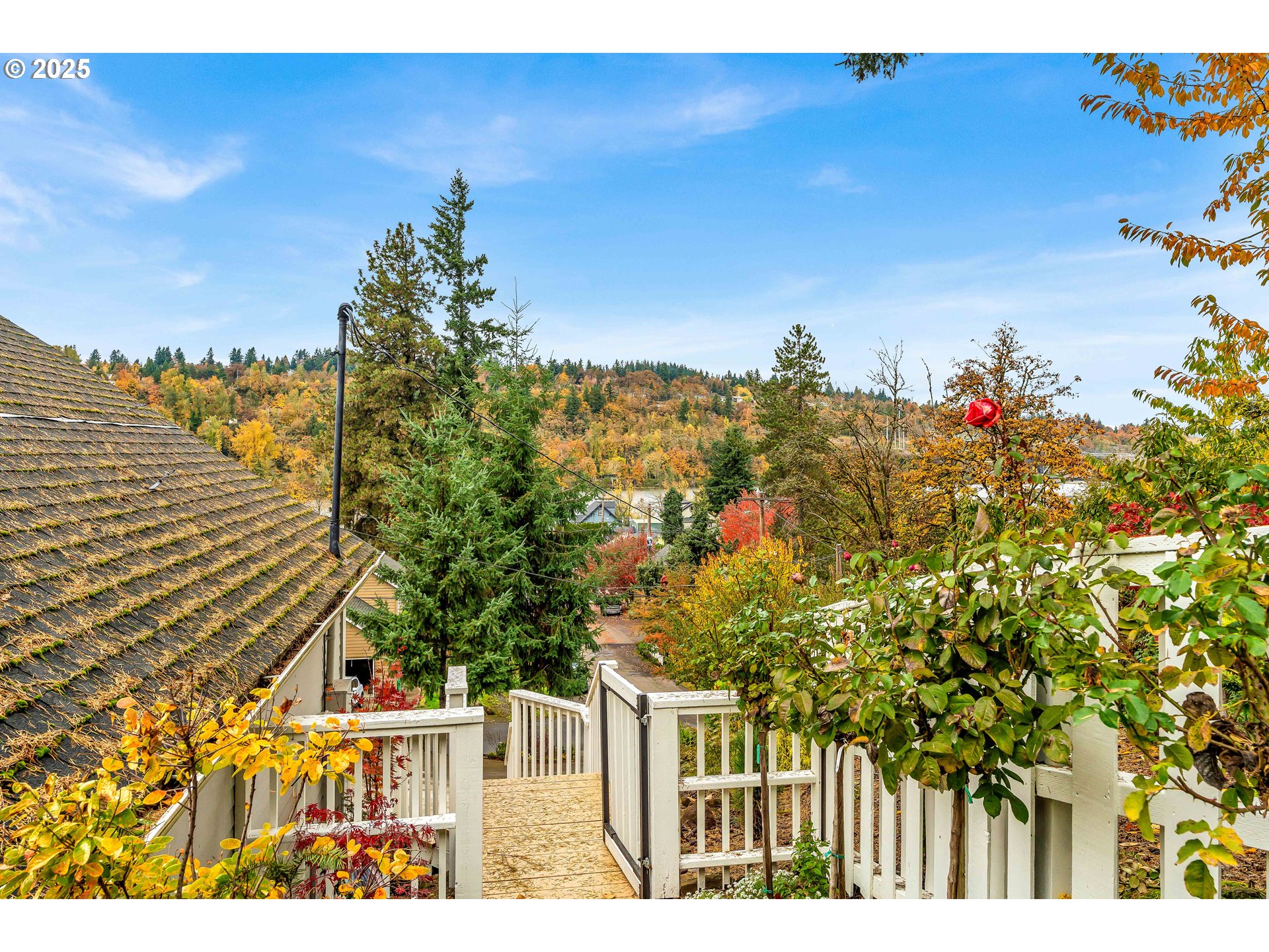 704 3rd Avenue Oregon City, OR 97045 - Photo 31 of 48 a view of a yard