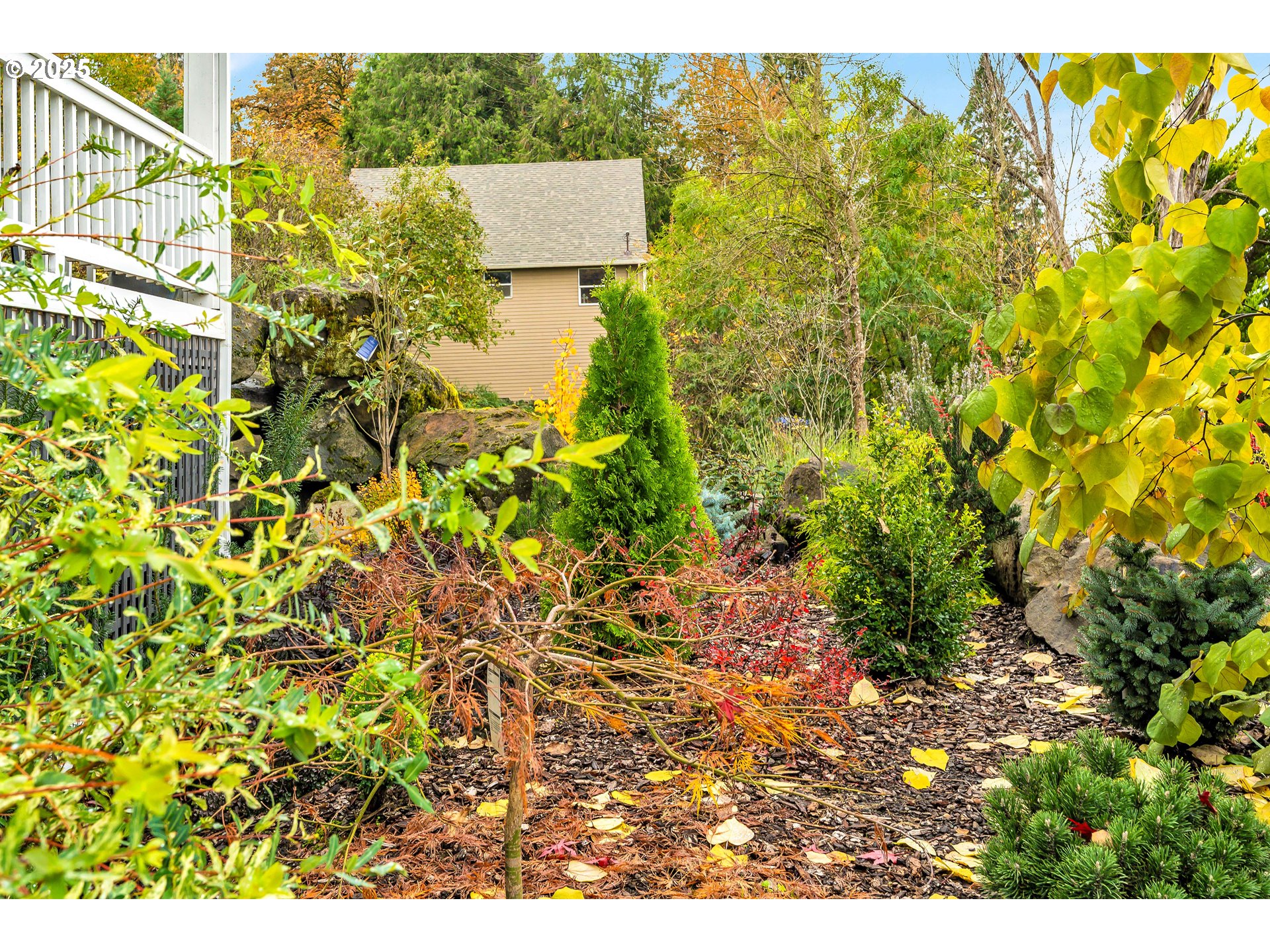 704 3rd Avenue Oregon City, OR 97045 - Photo 37 of 48 a view of a street with a tree