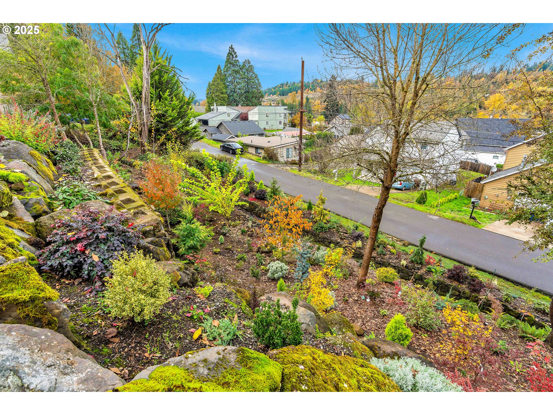 704 3rd Avenue Oregon City, OR 97045 - Photo 38 of 48 a view of a yard with plants