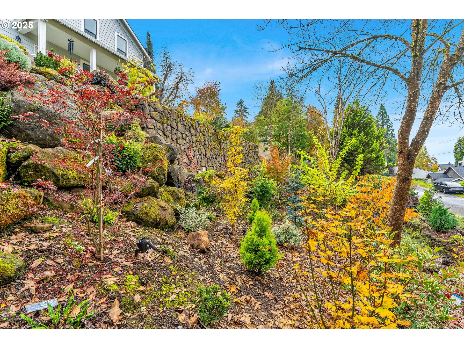 704 3rd Avenue Oregon City, OR 97045 - Photo 39 of 48 a view of a bunch of plants and trees