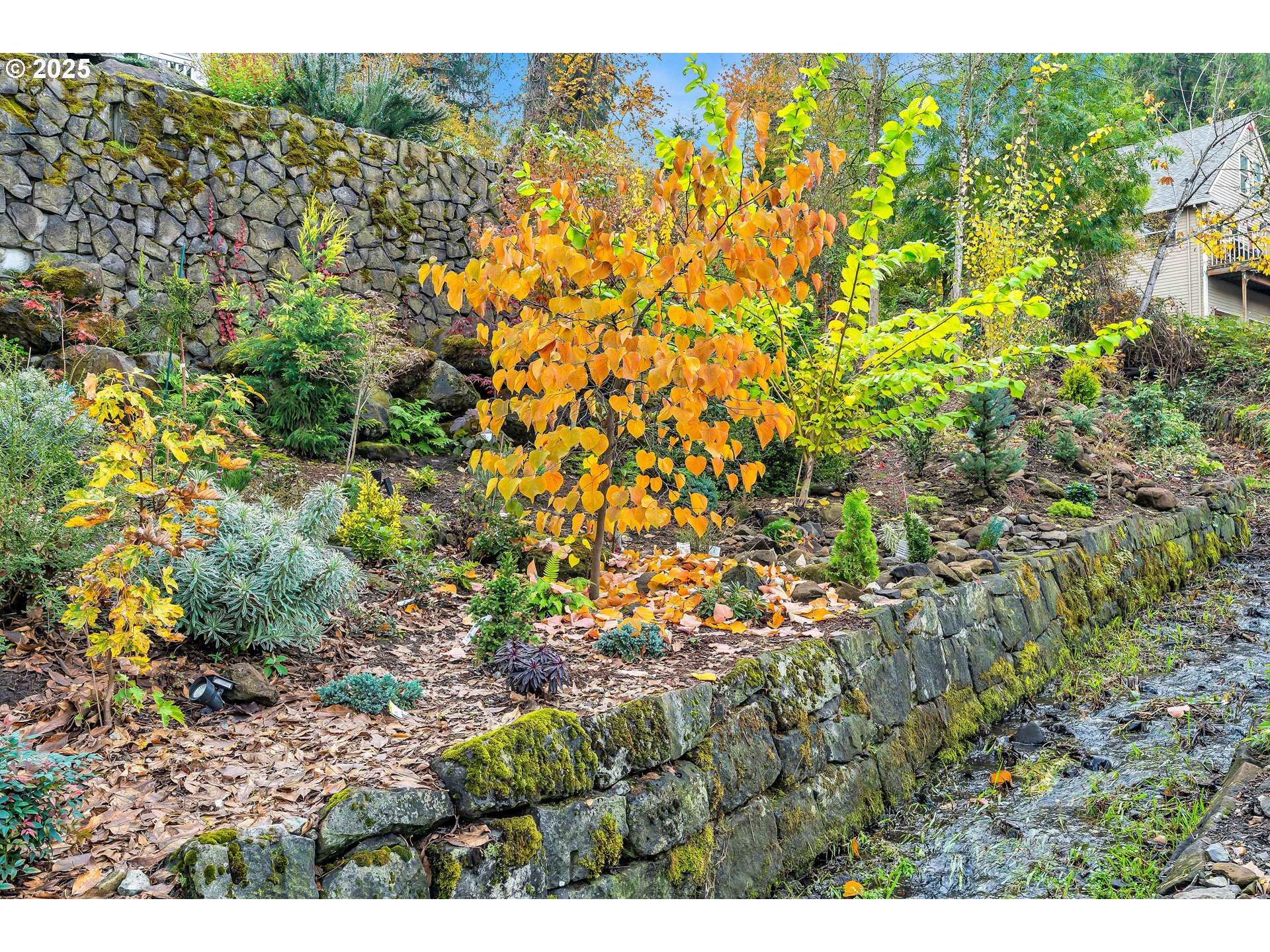 704 3rd Avenue Oregon City, OR 97045 - Photo 41 of 48 a view of a bunch of trees