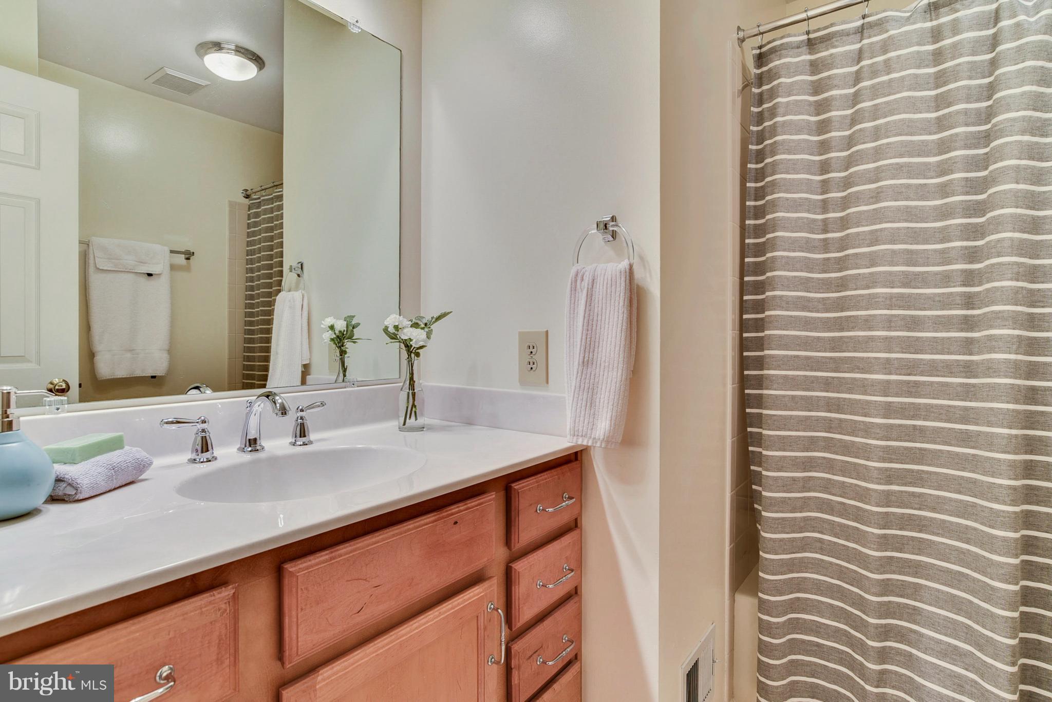 1506 Elk Point Drive Reston, VA 20194 - Photo 19 of 30 Upgraded hall bath