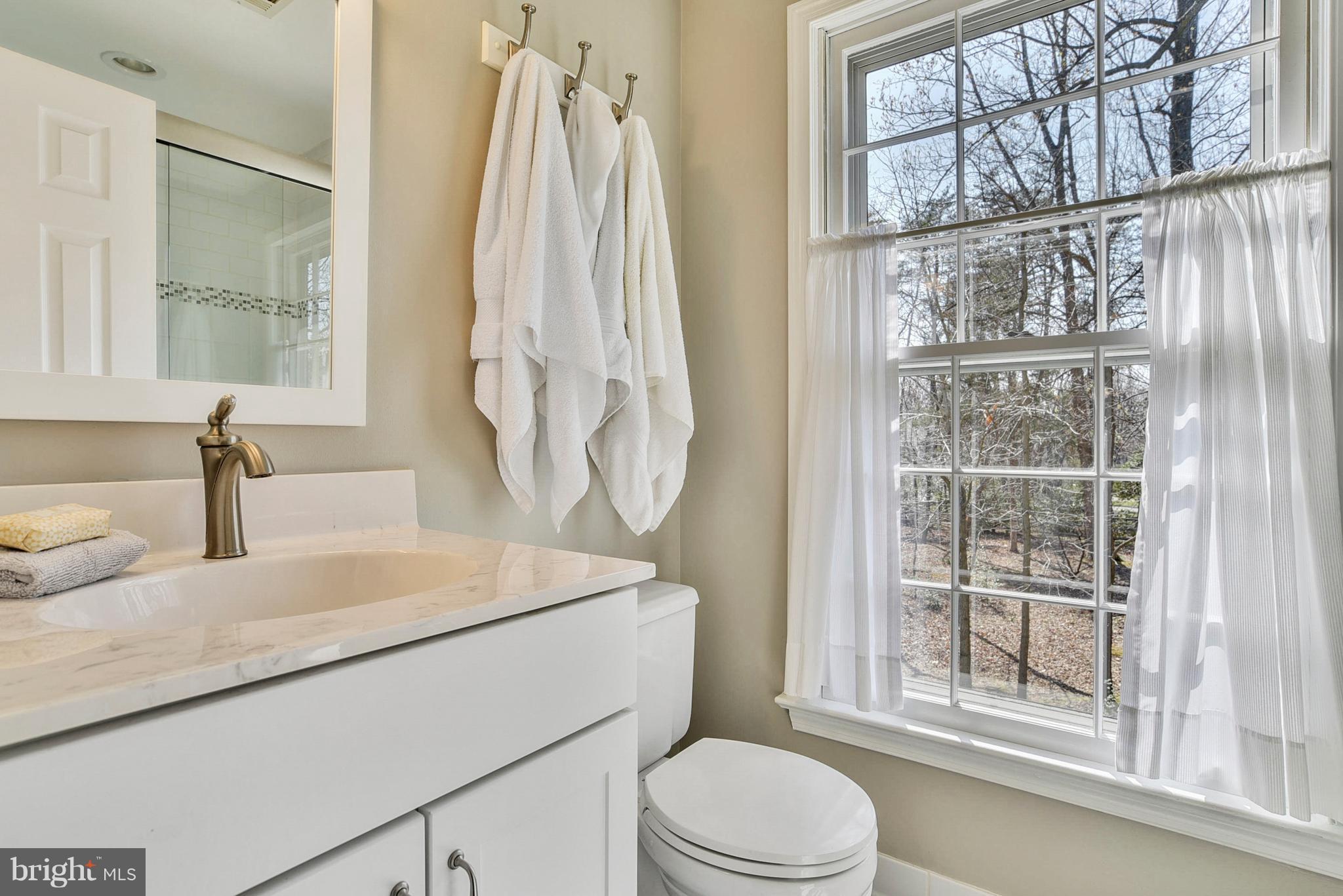 1506 Elk Point Drive Reston, VA 20194 - Photo 20 of 30 Master with double vanities