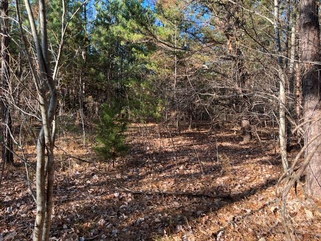 0 Grassy Knob Road, Unit 4 Mill Spring, NC 28756 - Photo 14 of 15