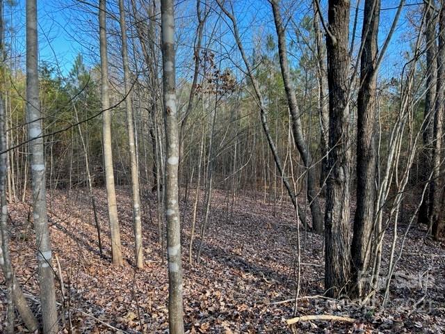 0 Grassy Knob Road, Unit 4 Mill Spring, NC 28756 - Photo 8 of 15