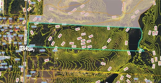 a close up of a plant in a garden