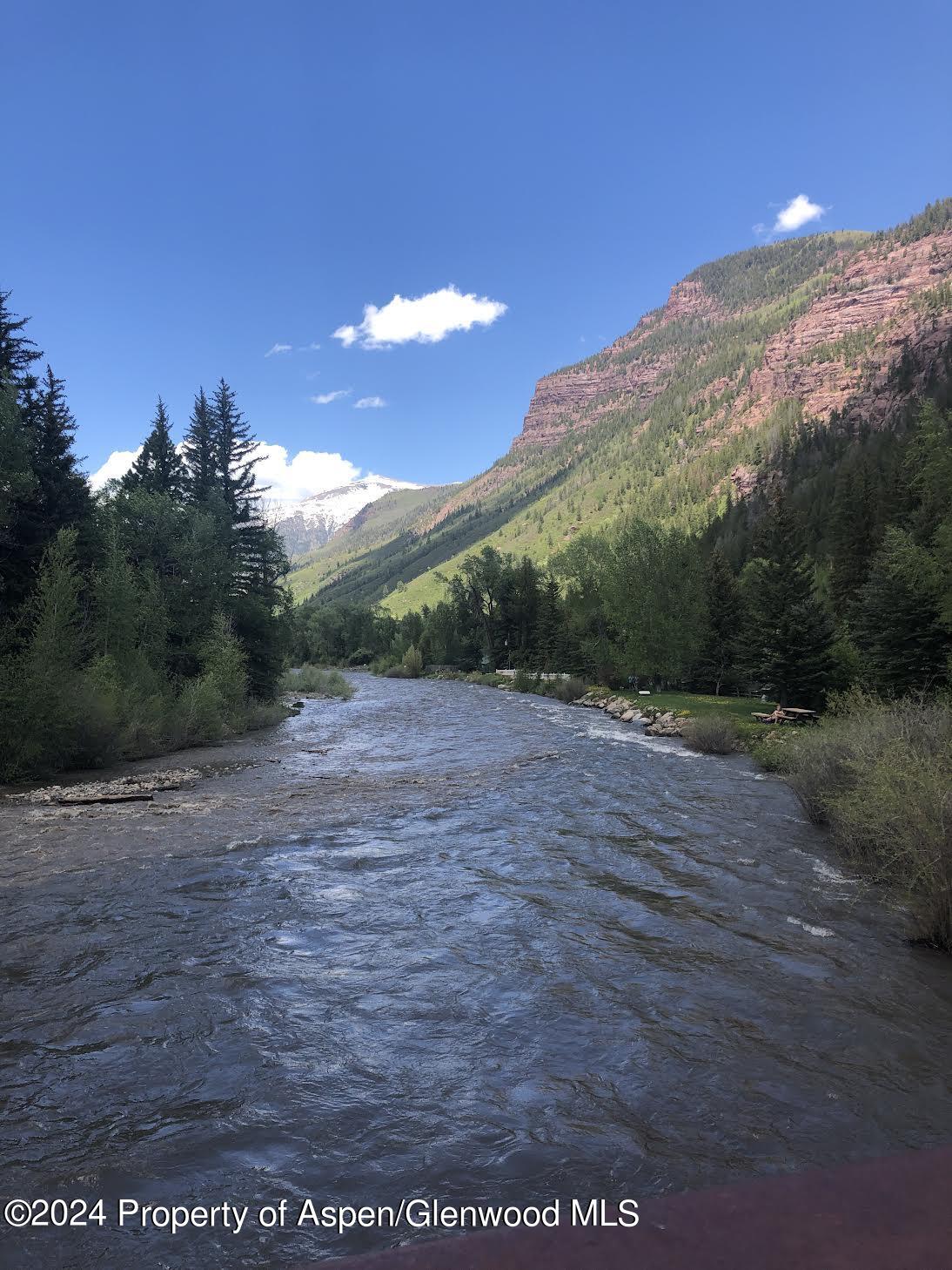 479 Redstone Boulevard Redstone, CO 81623 - Photo 3 of 5 a view of a dry yard