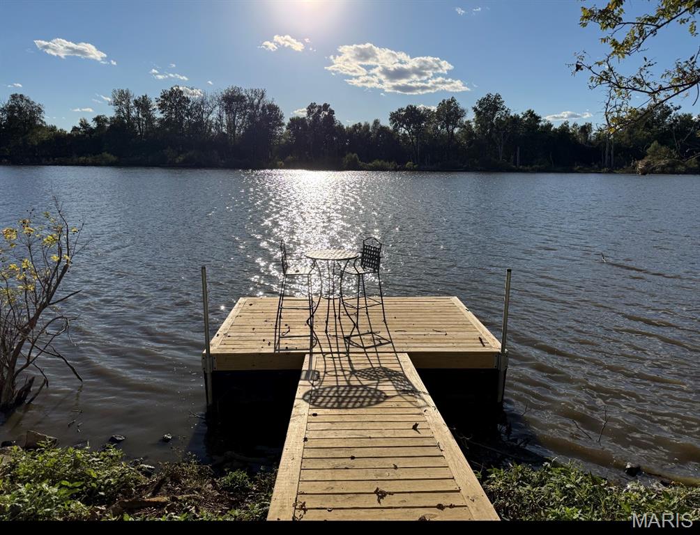 7841 Highway 96 Mozier, IL 62070 - Photo 3 of 18