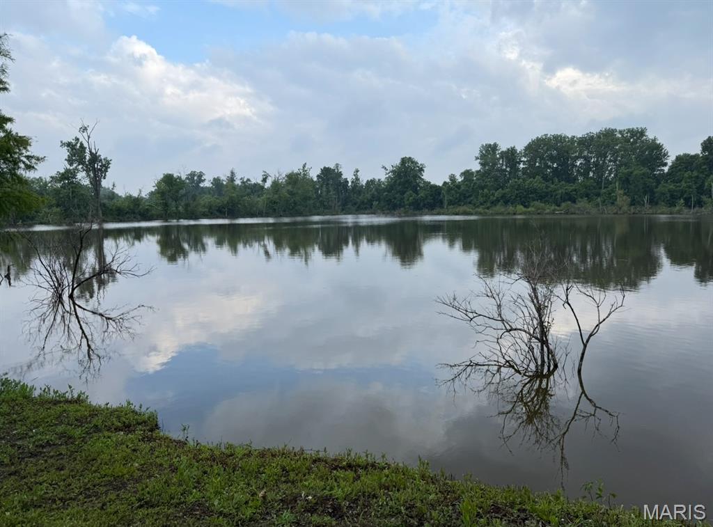 7841 Highway 96 Mozier, IL 62070 - Photo 4 of 18