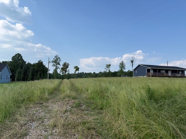 0 Roy Foster Road Smithville, TN 37166 - Photo 2 of 12 Gallery Image 2