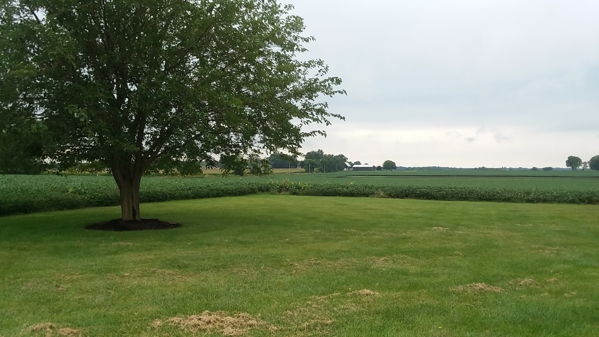 2729 North 4251st Road Sheridan, IL 60551 - Photo 29 of 37