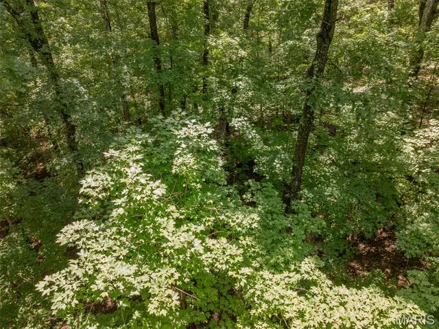 $145,000 | 2625 Grendel Drive, Innsbrook, MO 63390