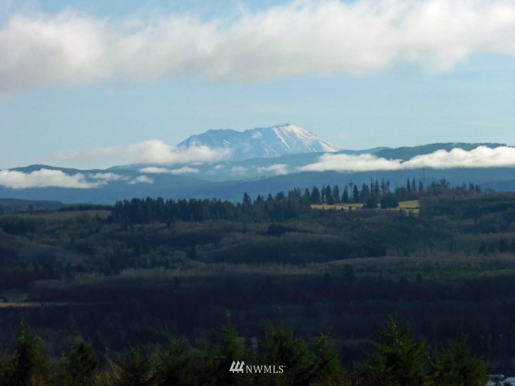 324 Burnt Ridge Road Onalaska, WA 98570 - Photo 24 of 25 Gallery Image 24