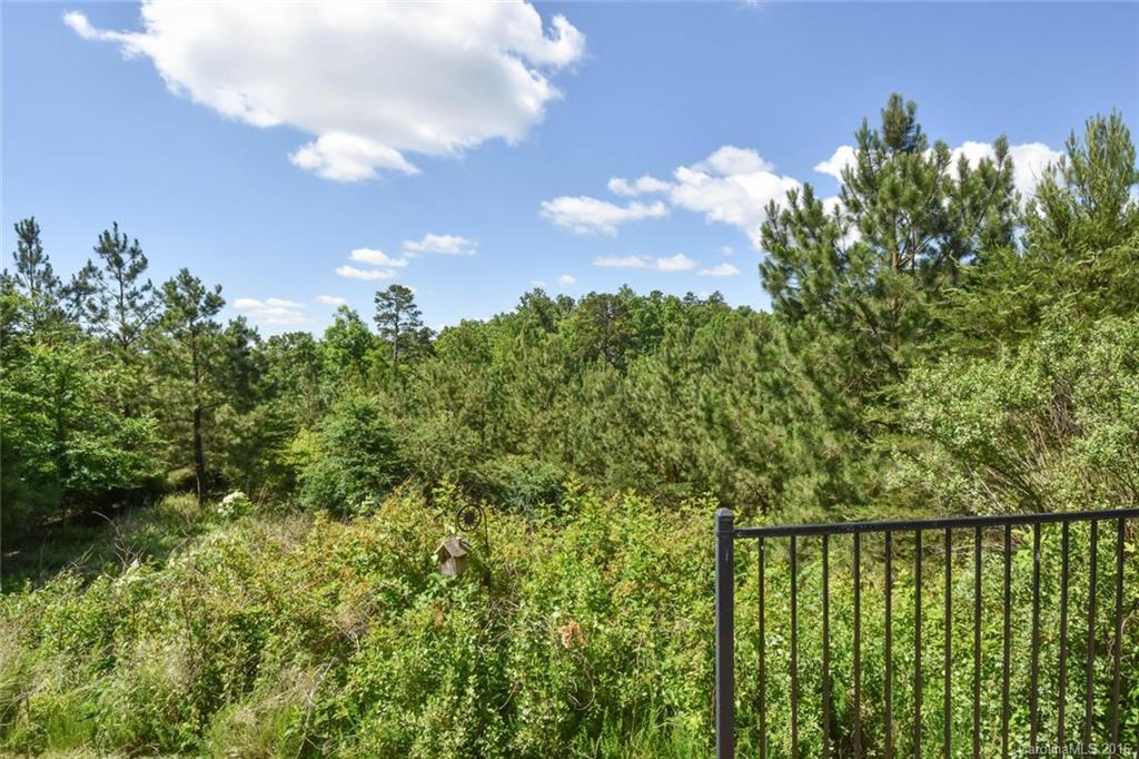 621 Sunfish Lane, Unit 21 Tega Cay, SC 29708 - Photo 22 of 24 Gallery Image 22