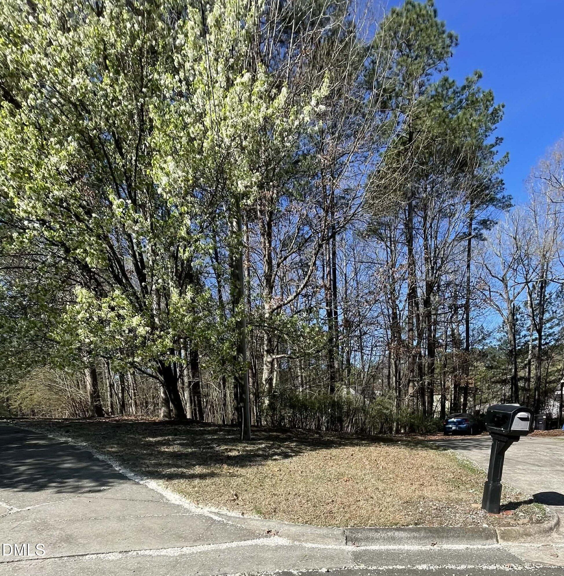 a view of a tree in front of a house