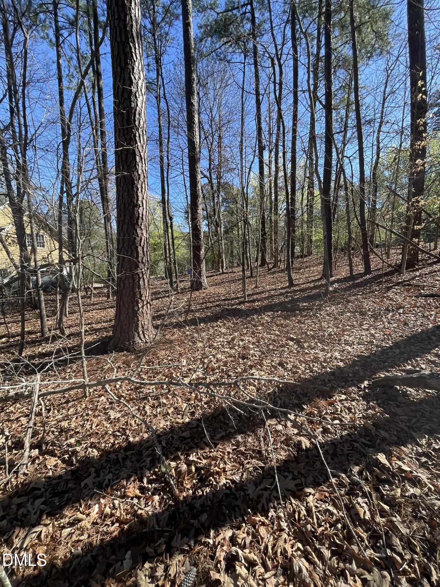 4824 Bay Point Drive Durham, NC 27713 - Photo 5 of 5 a backyard of a house with lots of green space
