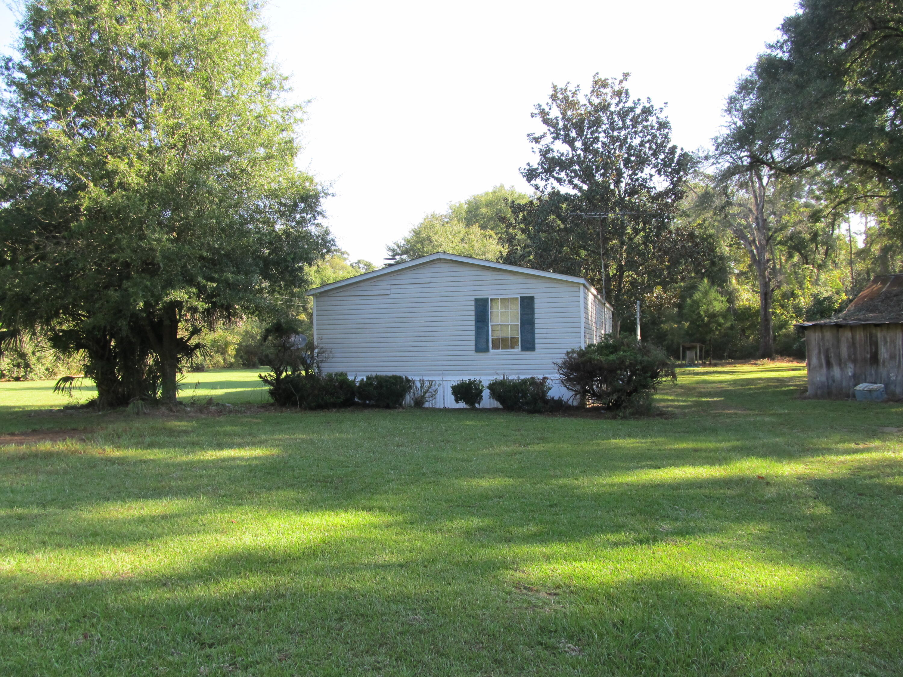 211 River Road Samson, AL 36477 - Photo 20 of 23 a view of a house with a big yard and large trees