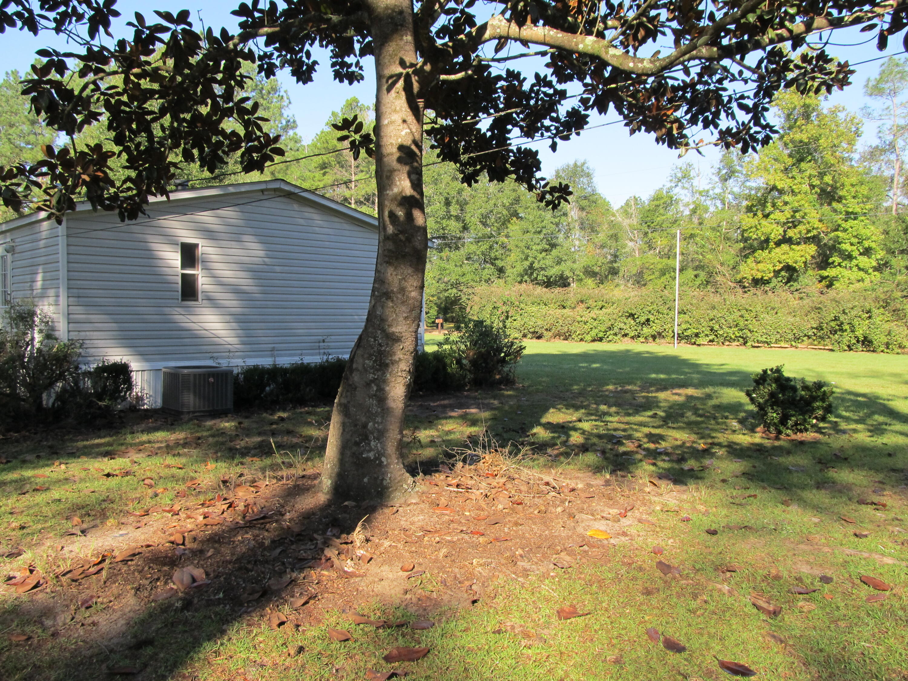 211 River Road Samson, AL 36477 - Photo 21 of 23
