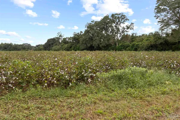 $35,000 | Lot 3 Beck Avenue, Jay, FL 32565
