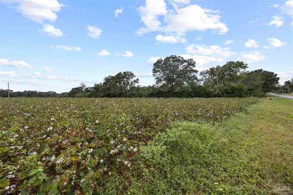 $35,000 | Lot 3 Beck Avenue, Jay, FL 32565