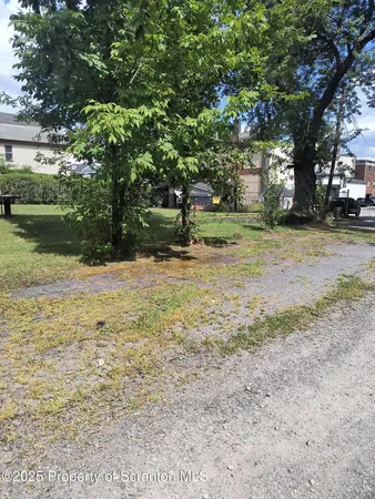 a view of a yard with a tree