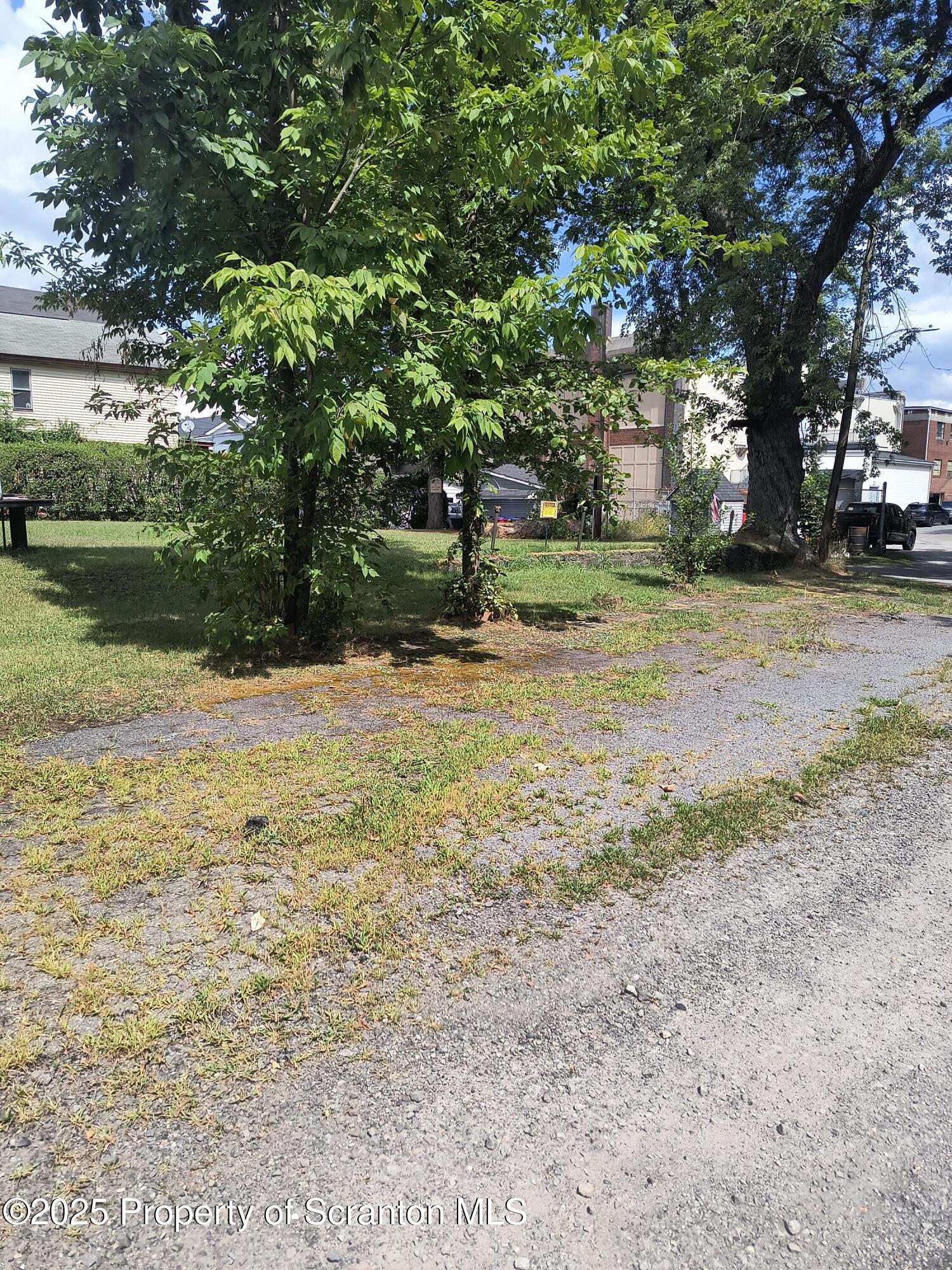 12 Mill Street Carbondale, PA 18407 - Photo 4 of 6 a view of a yard with a tree