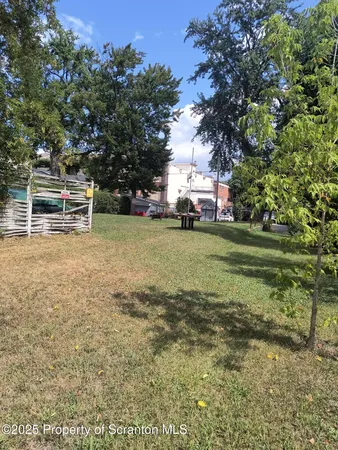 a view of a field with large trees