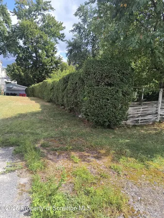 a view of a yard with an trees