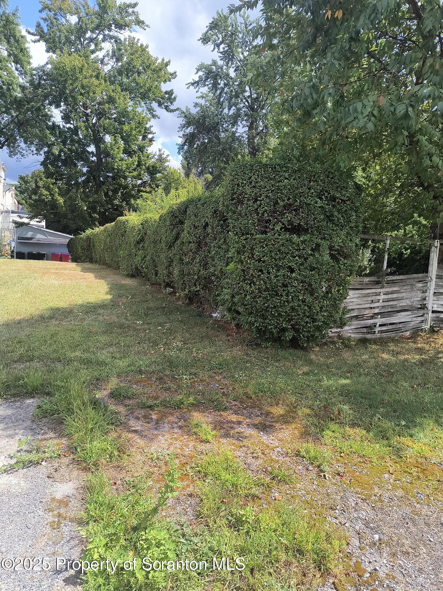 12 Mill Street Carbondale, PA 18407 - Photo 6 of 6 a view of a yard with an trees