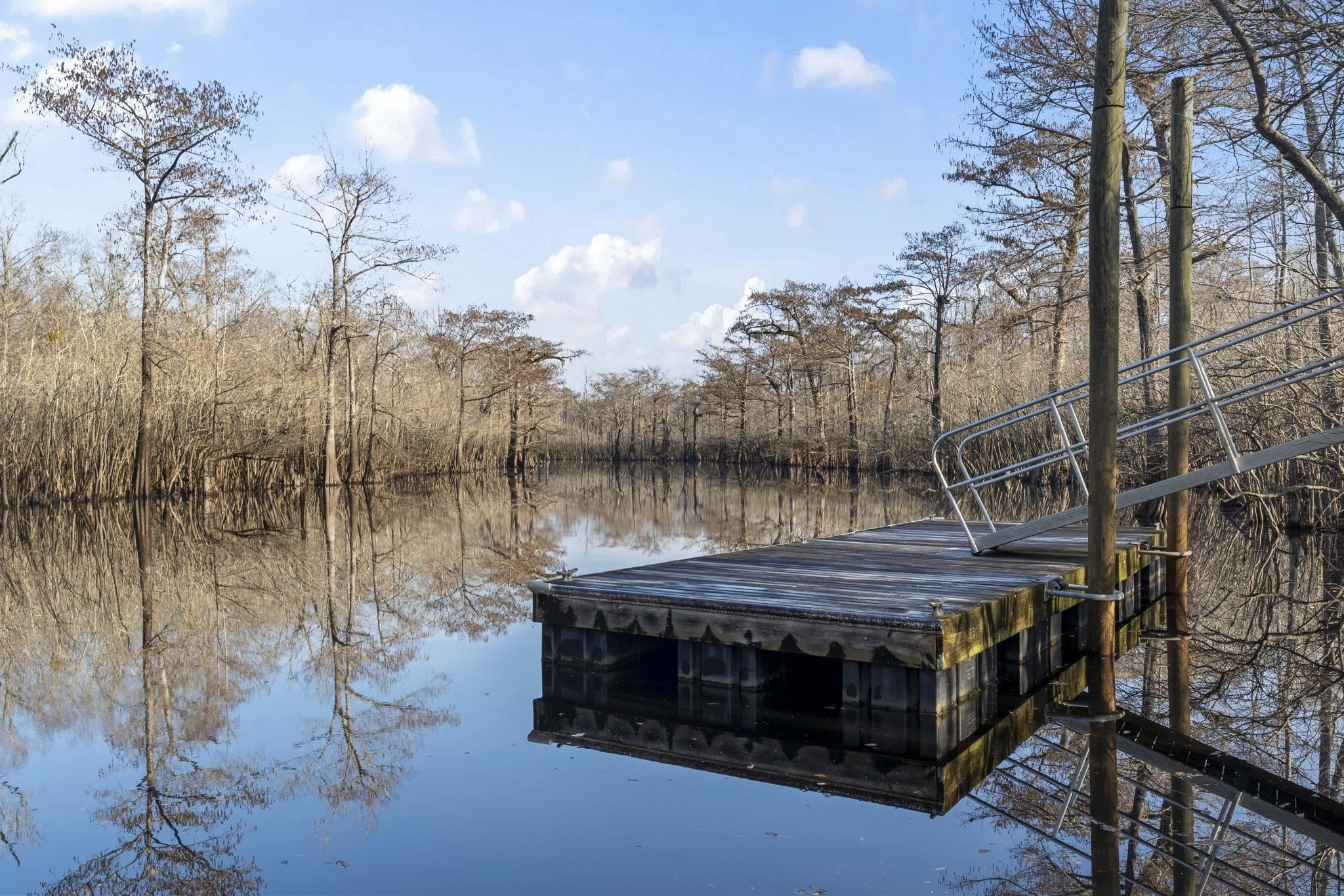 274 Rivers Edge Drive Conway, SC 29526 - Photo 13 of 19