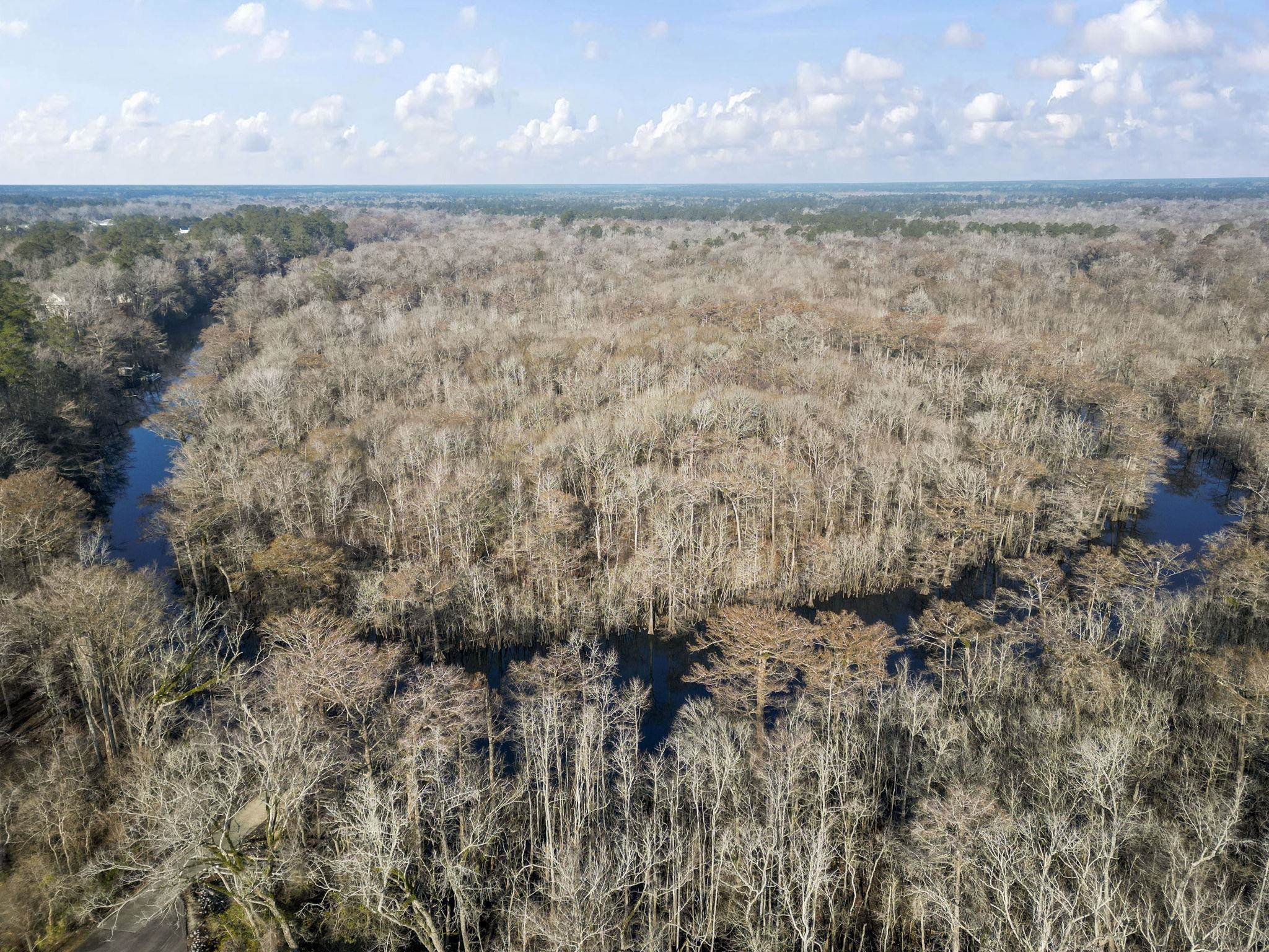 274 Rivers Edge Drive Conway, SC 29526 - Photo 10 of 19