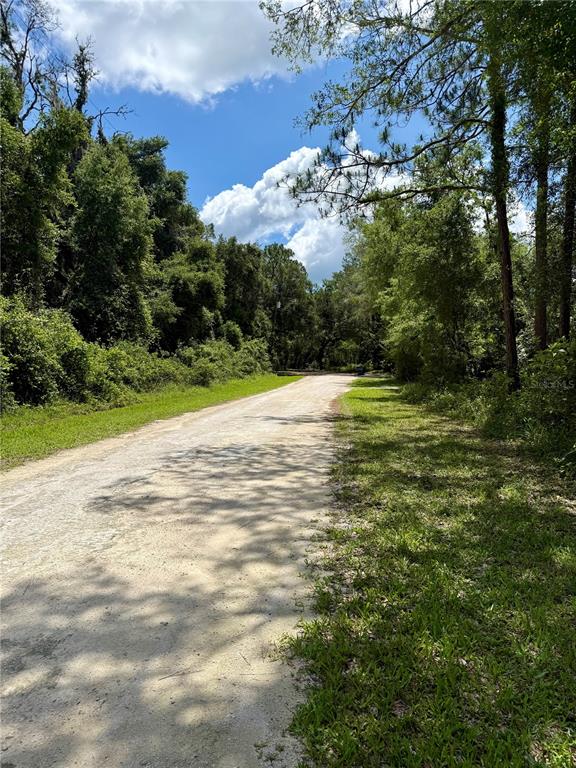 Long Circle Webster, FL 33597 - Photo 7 of 11