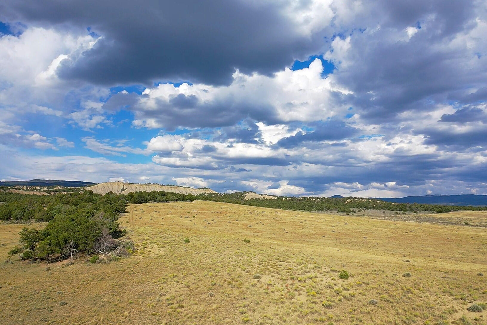 South And Ranch West Cebolla, NM 87518 - Photo 11 of 42 Gallery Image 11