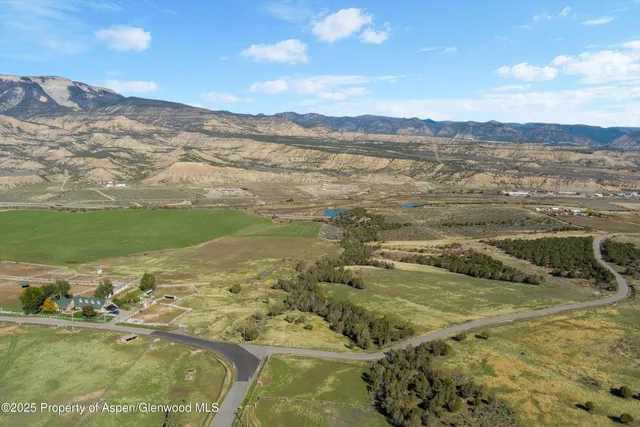 a view of a house with a big yard potted plants and large tree