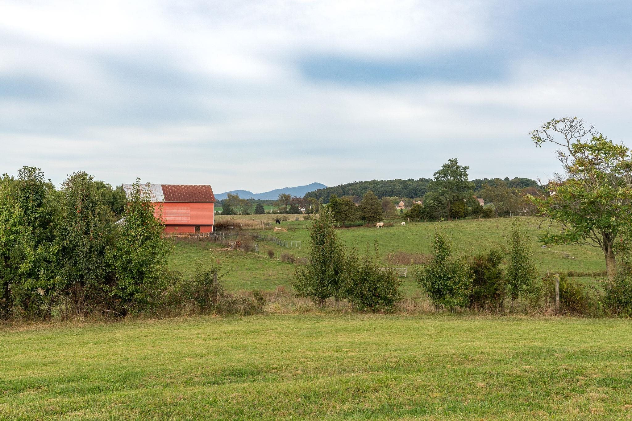 1079 Kiddsville Road Waynesboro, VA 22980 - Photo 54 of 72 a view of a lake