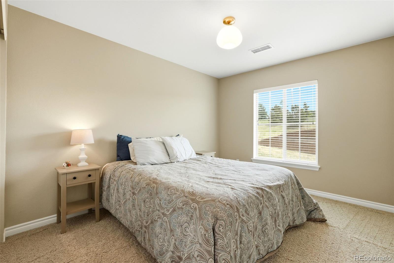 9274 Viaggio Way Highlands Ranch, CO 80126 - Photo 26 of 48