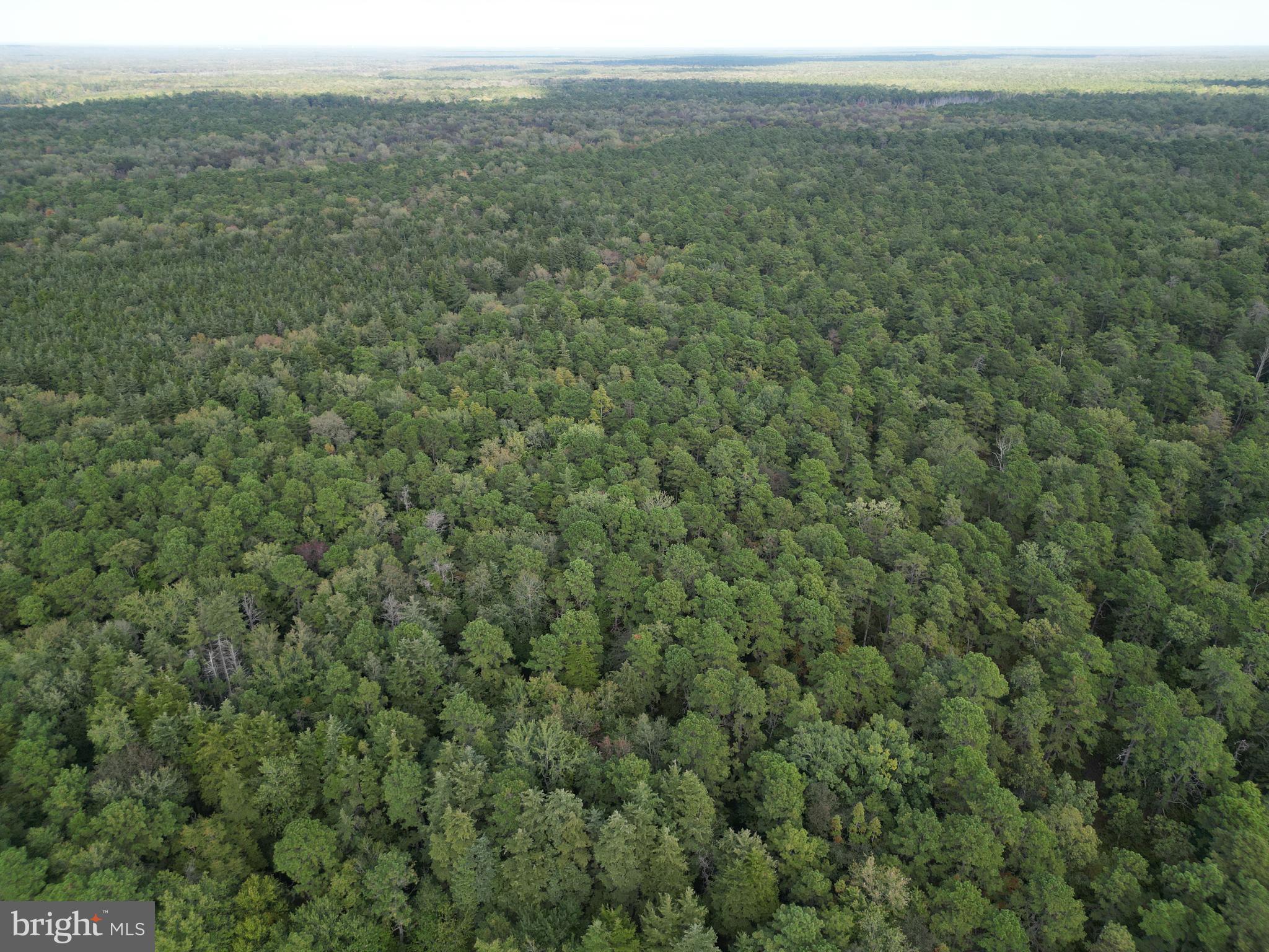 104 Burrs Mill Road Southampton, NJ 08088 - Photo 6 of 6