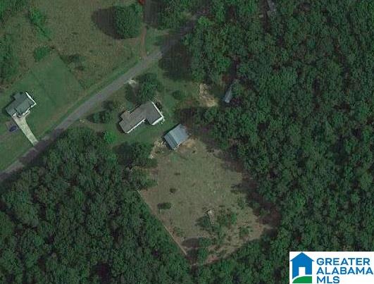 766 Williamsburg Road Altoona, AL 35952 - Photo 31 of 31 Gallery Image 31