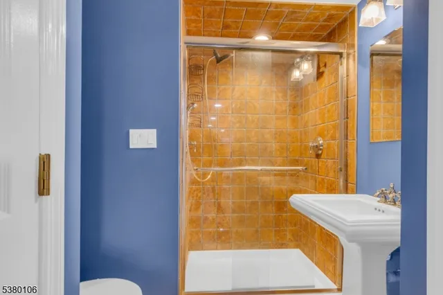 a bathroom with a sink and a shower