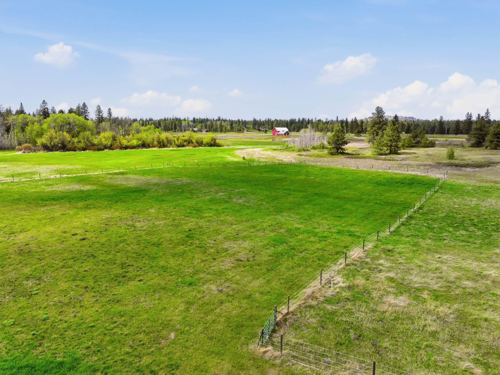 2609 Tiger Lilly Lane Spangle, WA 99031 - Photo 49 of 50
