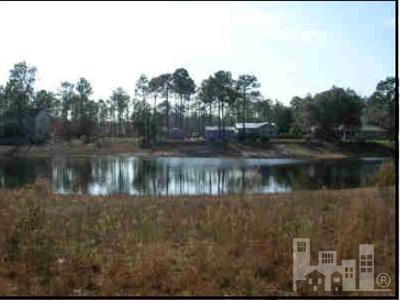 1028 Filmore Road Southport, NC 28461 - Photo 4 of 4 Additional Photo