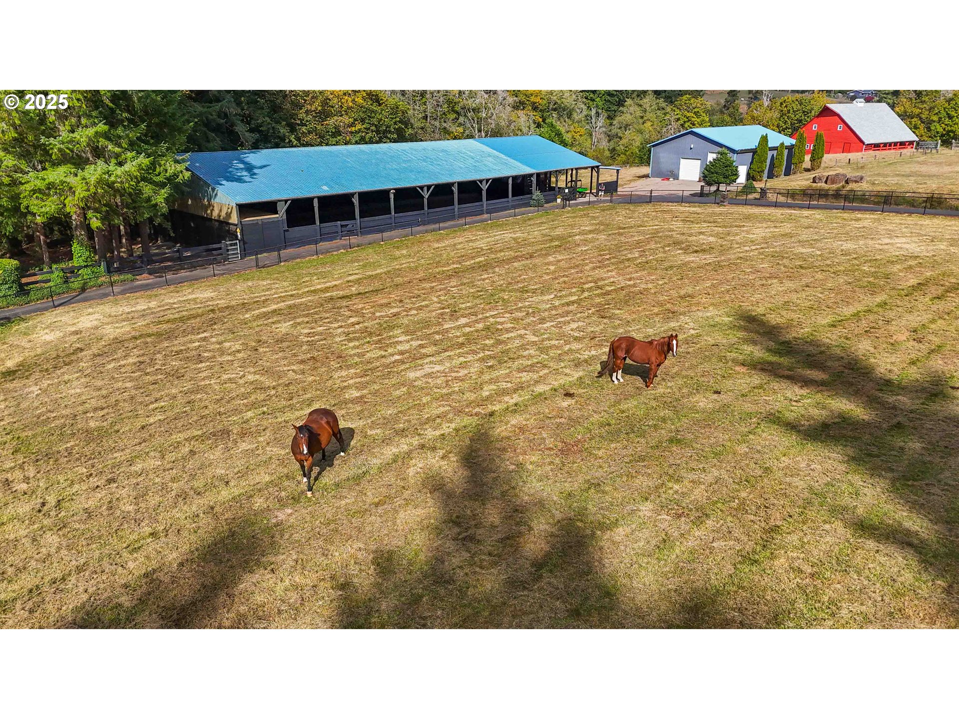 720 Abernathy Creek Road Longview, WA 98632 - Photo 26 of 44