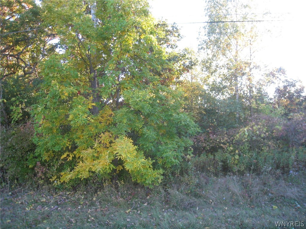 V/l Moyer Road Lewiston, NY 14092 - Photo 1 of 1 Gallery Image 1