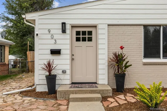 a potted plant sitting in front of a house