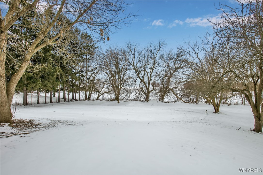 6584 Alleghany Road Alabama, NY 14013 - Photo 48 of 50