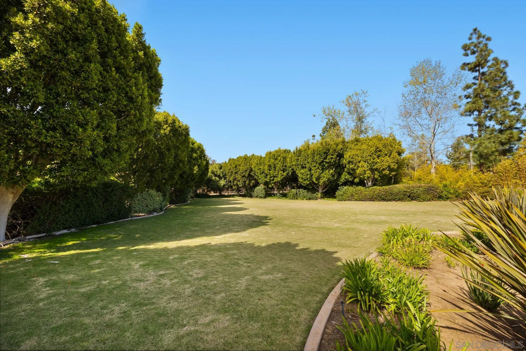 18050 Rancho La Cima Corte Rancho Santa Fe, CA 92067 - Photo 43 of 57 a view of an ocean and a yard