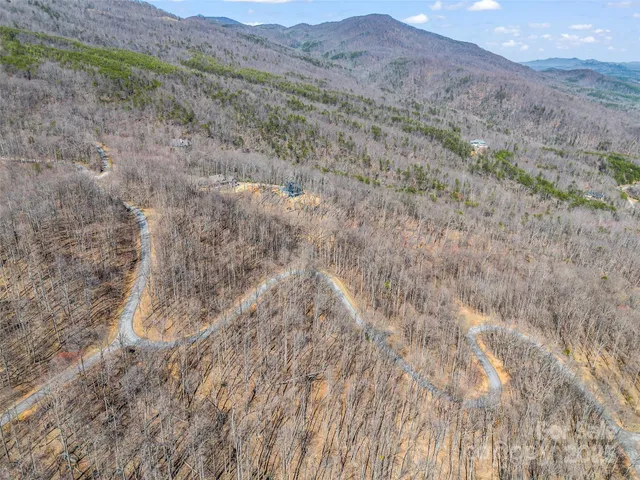 a view of a dry yard with green space