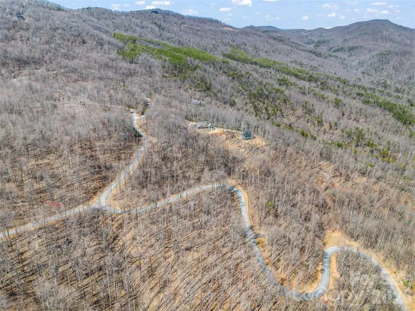 a view of a dry yard with green space