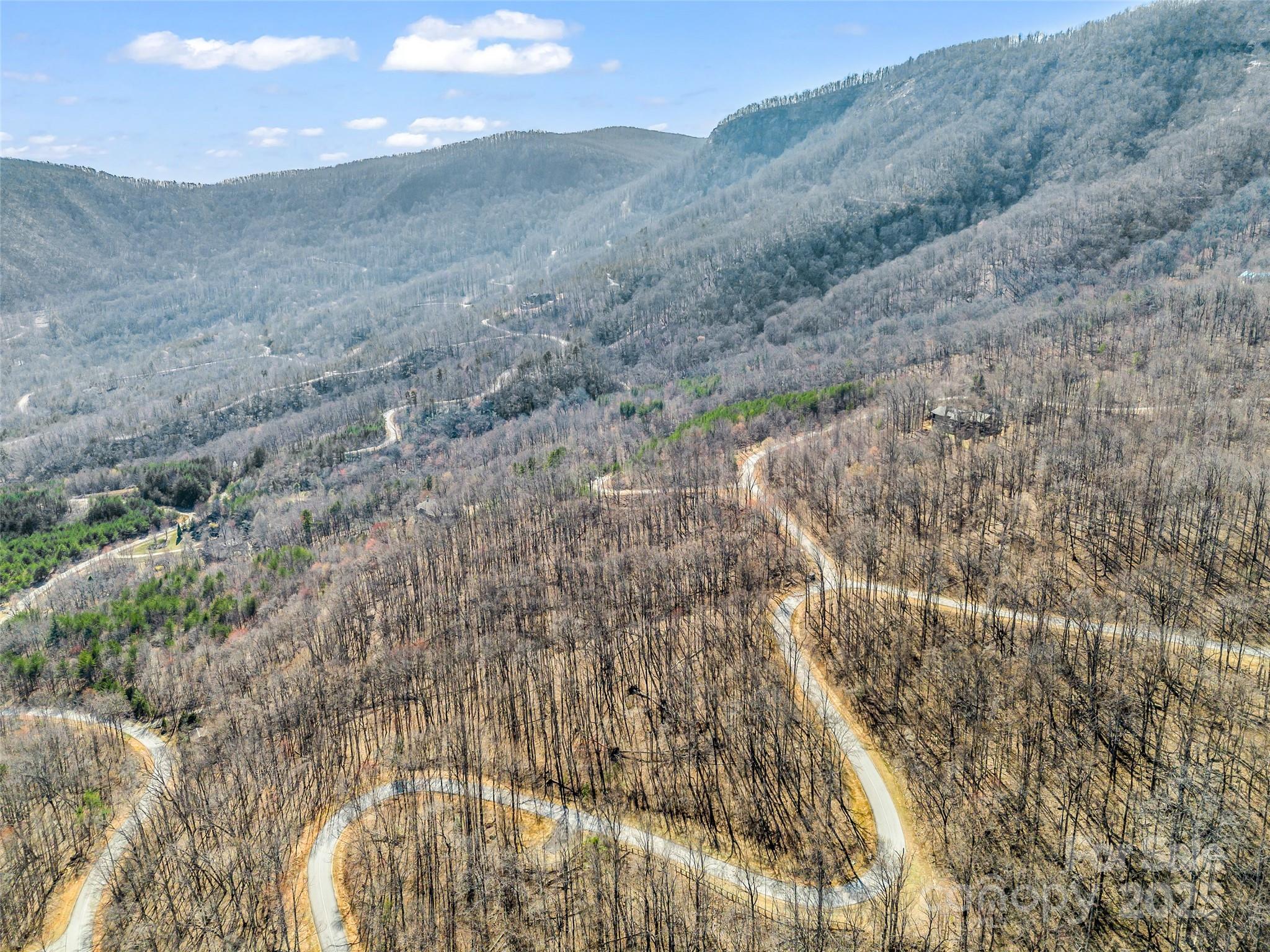 183 Chesterfield Drive, Unit 183 Mill Spring, NC 28756 - Photo 15 of 28